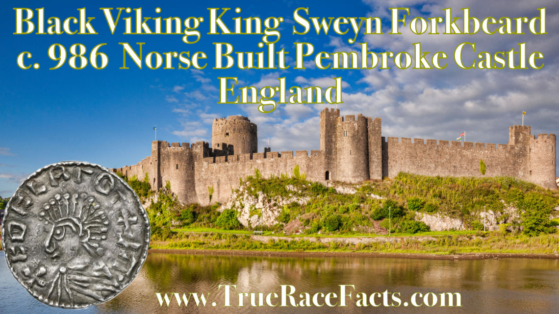 Sweyn Forkbeard Black Norse Viking Pembroke Castle Wales