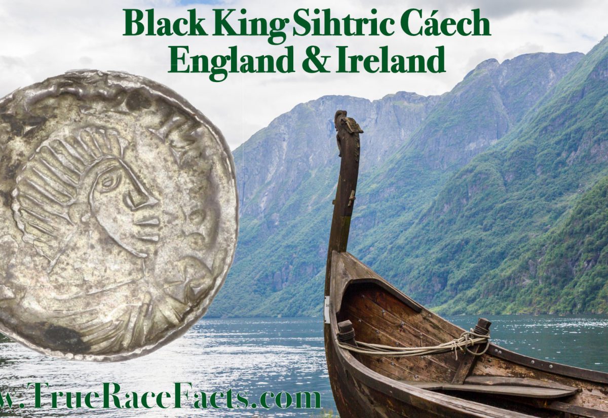True Depiction Of Black Viking King Sihtric