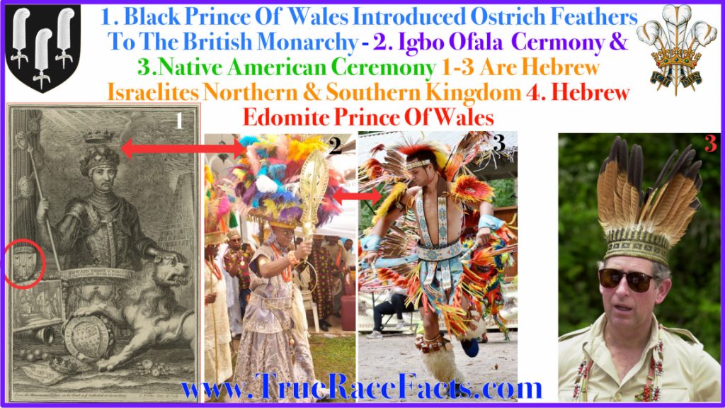 Hebrew Israleites In Feather Prince Edward of Woodstock the Black Prince