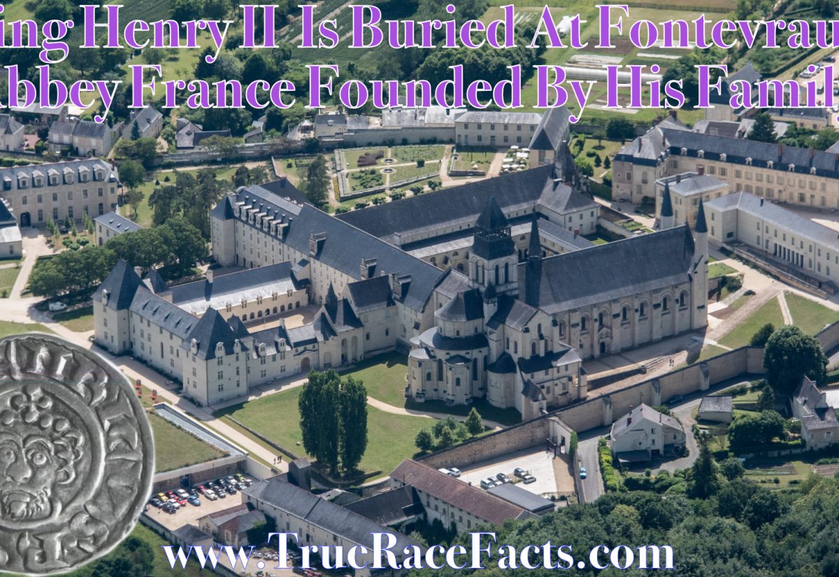 Henry II Fontevraud Abbey France