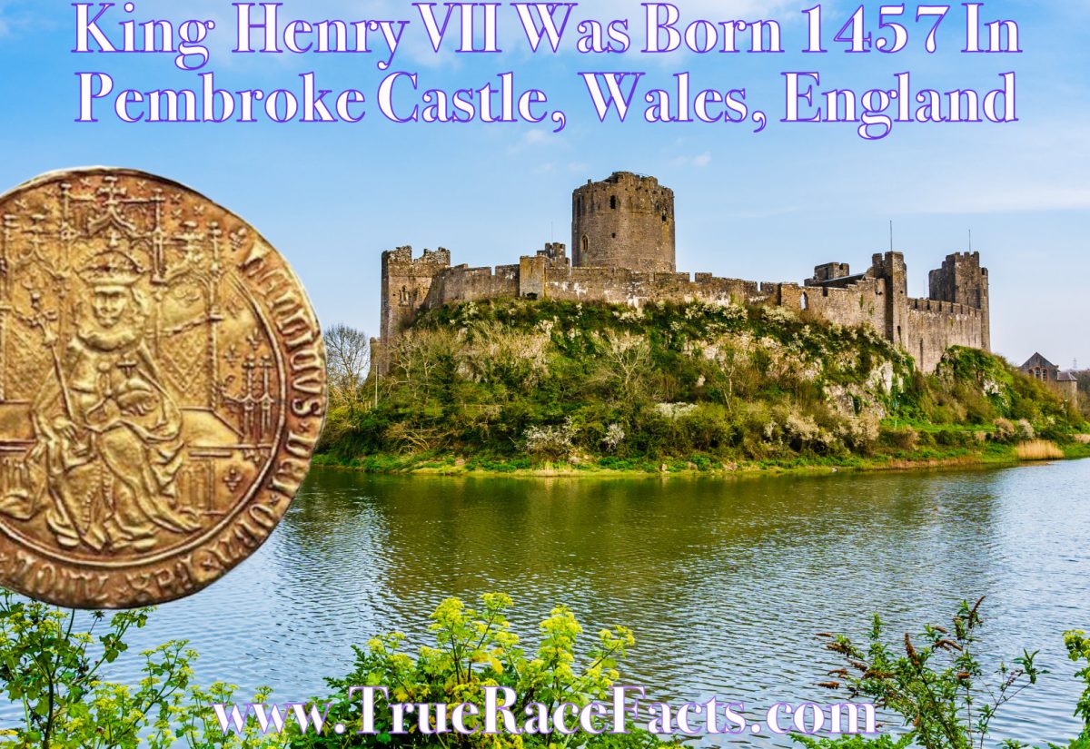 King Henry VII Born at Pembroke Castle