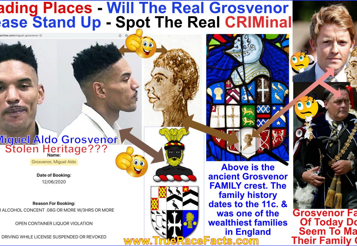 Will the real Grosvenor Please Stand Up - The man in America with the petty crimes matches the ancient family crest more than the current family. Miguel Grosvenor is highly likely the REAL Grosvenor but his family was put into slavery and had their land STOLEN Under during the Cromwelian race wars or during the late 17th century when England was undergoing a genocide race cleanse. I allege
