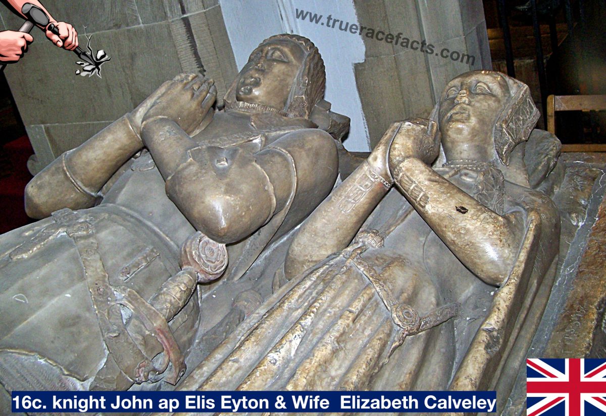 John ap Elis Eyton, knight